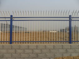 河北护栏网厂家 专业制造，铸就优质安全屏障